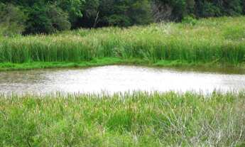 Imagem 6: 800M² de Área Total