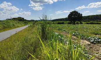 Imagem 4: TERRENO RESIDENCIAL em SALTO DE PIRAPORA - SP, Barra