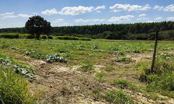 Imagem 3: TERRENO RESIDENCIAL em SALTO DE PIRAPORA - SP, Barra