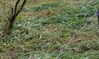 Imagem: TERRENO EM CAPELA DO ALTO,DISTRITO DO PORTO,COM