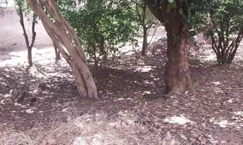 Imagem 5: CHÁCARA COM LOCALIZAÇÃO PRIVILEGIADA EM SOROCABA !!!