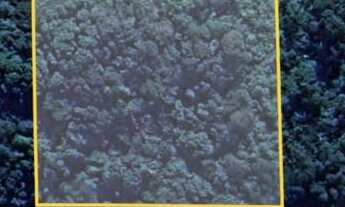 Imagem 2: LINDA ÁREA NO BAIRRO DE BRIGADEIRO TOBIAS !!!