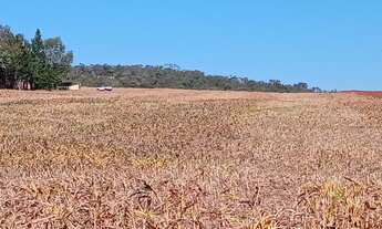 Imagem 6: SITIO RURAL em ITAPETININGA - SP, RODOVIA ANTÔNIO ROMANO SCHINCARIOL