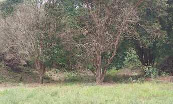 Imagem 4: SÍTIO NO MATO DENTRO !!!