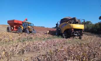 Imagem 5: SITIO RURAL em ITAPETININGA - SP, RODOVIA ANTÔNIO ROMANO SCHINCARIOL