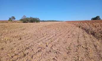 Imagem: SITIO RURAL em ITAPETININGA - SP, RODOVIA