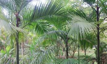 Imagem 4: SÍTIO em Votorantim - SP, Cond. Vale do Sol