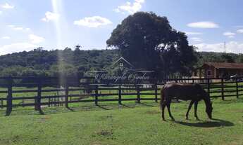 Imagem 5: 10 dormitórios, 10 banheiro
