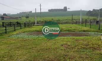 Imagem 6: SITIO RURAL em ALFREDO WAGNER - SC, Arroio do Boi