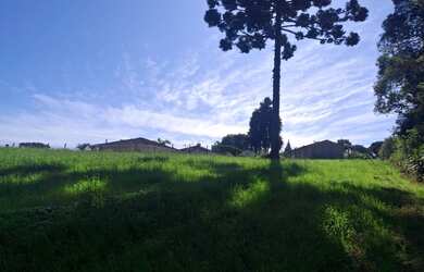 Imagem 2: 26078M² de Área Total na Estrada Da Sereia