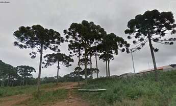 Imagem: Na Rua Japão