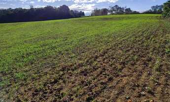 Imagem: 34613M² de Área Total na Rua Francisco