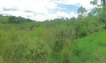 Imagem 2: Na Rua Quintino Bocaiúva