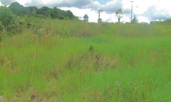 Imagem: Na Rua Quintino Bocaiúva