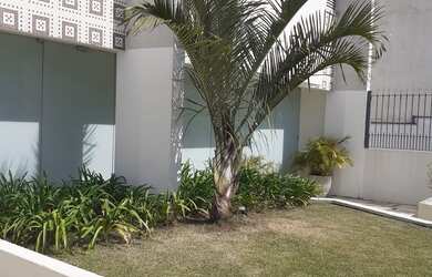 Imagem: APARTAMENTO IPIRANGA!!, 1 dormitório, 1