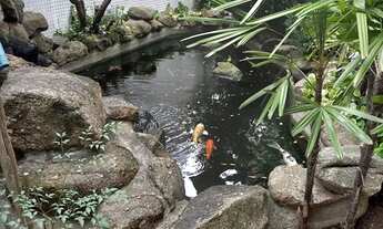 Imagem: 3 dormitórios, 1 suítes, 3 banheiro, 2