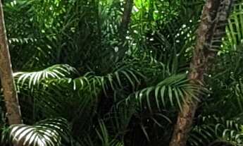 Imagem 2: 3 dormitórios, 1 suítes, 4 banheiro, 2 vagas na garagem, 260M² de Área Construída