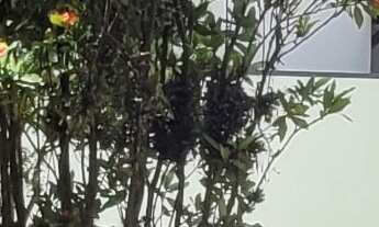 Imagem 7: 3 dormitórios, 1 suítes, 4 banheiro, 2 vagas na garagem, 260M² de Área Construída