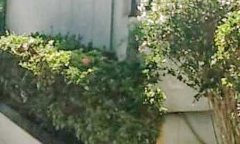 Imagem 3: COBERTURA DUPLEX 3 DORM IPIRANGA 950MIL !!!!!