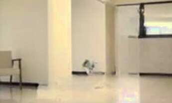 Imagem 3: 3 dormitórios, 2 banheiro, 1 vaga na garagem, 80M² de Área Construída