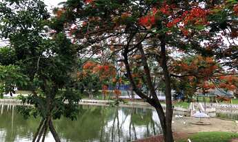 Imagem 6: 415M² de Área Total