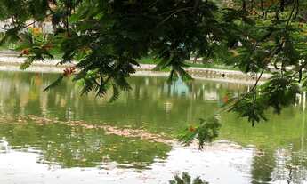 Imagem 7: 415M² de Área Total