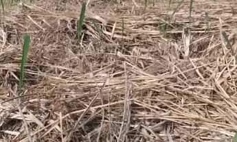 Imagem: 600M² de Área Total na Rua Atobás