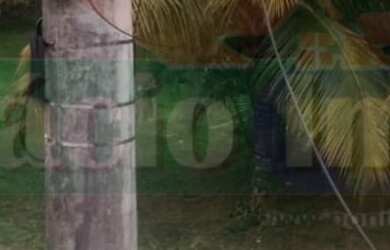 Imagem 2: 2 dormitórios na Rua João Santana 111