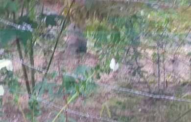 Imagem 6: 276M² de Área Total na Rua Percilia Rodrigues Da Silva