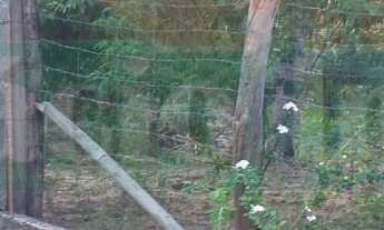 Imagem: 276M² de Área Total na Rua Percilia Rodrigues