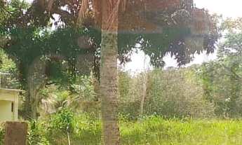 Imagem 2: 3 dormitórios na Rua Serrano