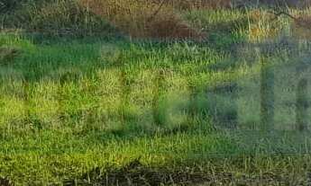 Imagem: 450M² de Área Total na Avenida Nova