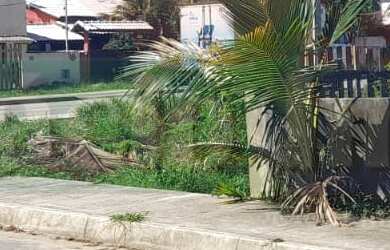 Imagem 4: 450M² de Área Total na Rua Berlamino Da Conceição