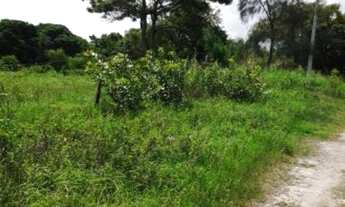 Imagem 3: 1200M² de Área Total na Rua Afonso Melo