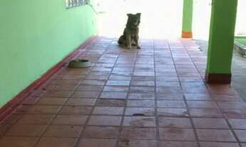 Imagem 7: 2 dormitórios na Rua Iguaba