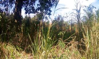 Imagem 7: 792M² de Área Total na Rua Praia De Maguaraquisaba