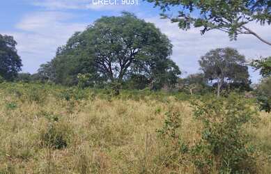 Imagem 3: FAZENDA RURAL em MONTES CLAROS - MG, ÁREA RURAL DE MONTES CLAROS
