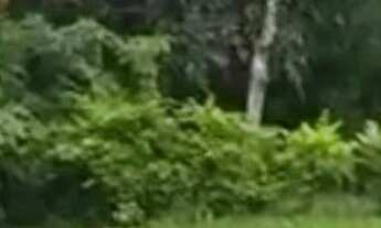 Imagem 3: SITIO RESIDENCIAL em Lagoa Santa - MG, Centro