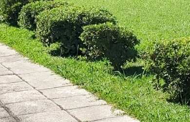 Imagem 2: CHACARA RESIDENCIAL em PIRAQUARA - PR, JARDIM VENEZA