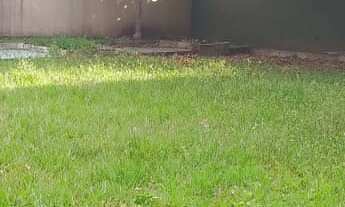 Imagem 5: CASA RESIDENCIAL em São Luis - MA, OLHO DAGUA