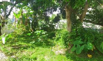 Imagem 2: TERRENO RESIDENCIAL em São Luís - MA, Olho DÁgua