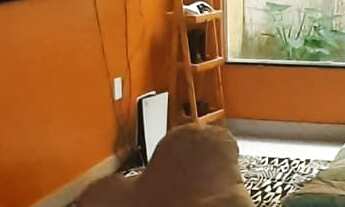 Imagem: CASA RESIDENCIAL em SÃO JOSÉ DE RIBAMAR