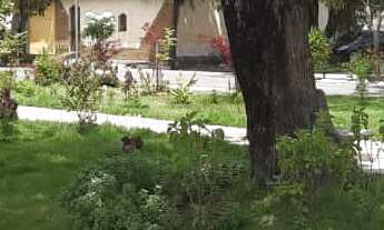 Imagem: CASA RESIDENCIAL em SÃO LUÍS - MA, COHAB