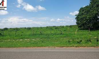 Imagem 4: FAZENDA RURAL em ELISEU MARTINS - PI, rodovia
