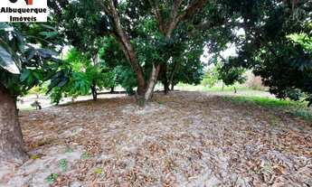 Imagem 5: TERRENO COMERCIAL em SÃO JOSÉ DE RIBAMAR - MA, ARAÇAGY