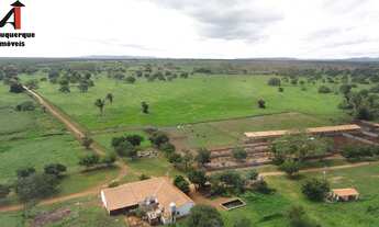 Imagem 7: FAZENDA RURAL em AROAZES - PI, AROAZES