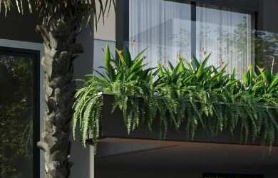 Imagem 3: CASA RESIDENCIAL em SÃO JOSÉ DE RIBAMAR - MA, ARAÇAGY