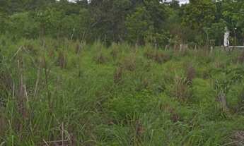 Imagem 7: FAZENDA RURAL em FLORIANO PIAUI - PI, FLORIANO PIAUI