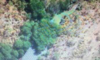 Imagem 2: FAZENDA RURAL em FLORIANO PIAUI - PI, FLORIANO PIAUI