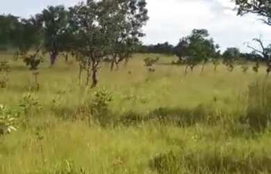 Imagem 3: FAZENDA RURAL em TOCANTINS - TO, TOCANTINS